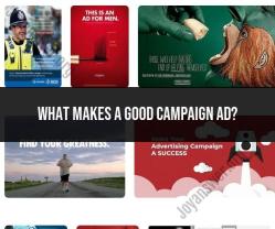 Characteristics of a Good Campaign Ad: Advertising Success