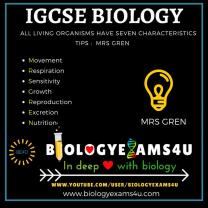 Characteristics of Organisms: Essential Traits of Living Beings