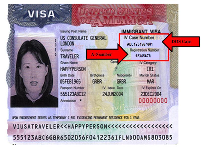 Checking the Case Status of Your U.S. Immigration Application