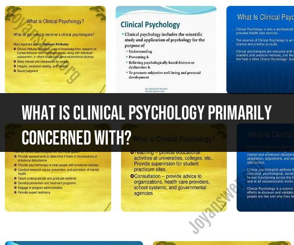 Clinical Psychology: Its Primary Concerns