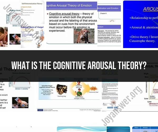 Cognitive Arousal Theory: Understanding Emotional Responses