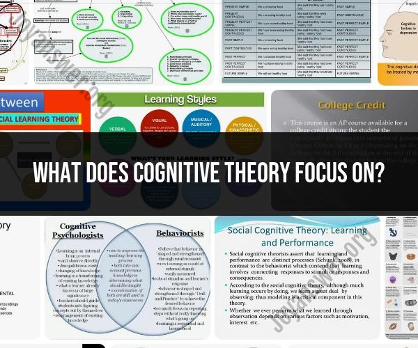 Cognitive Theory Focus: Understanding Mental Processes