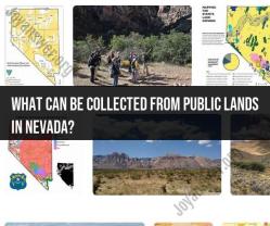 Collecting Resources from Nevada Public Lands: Guidelines