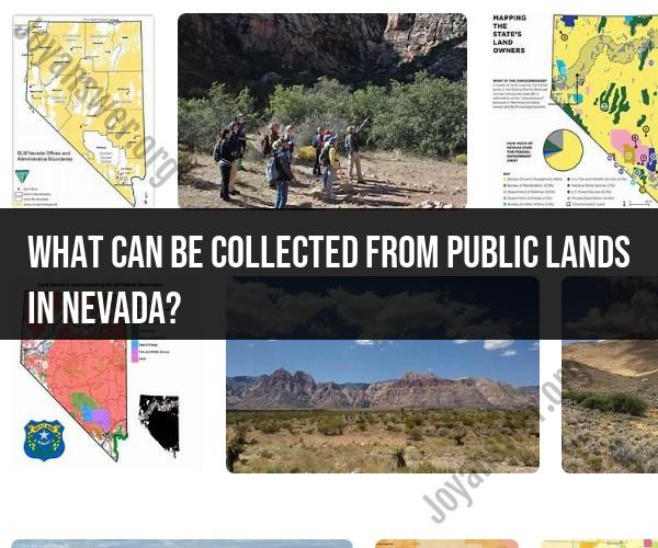 Collecting Resources from Nevada Public Lands: Guidelines