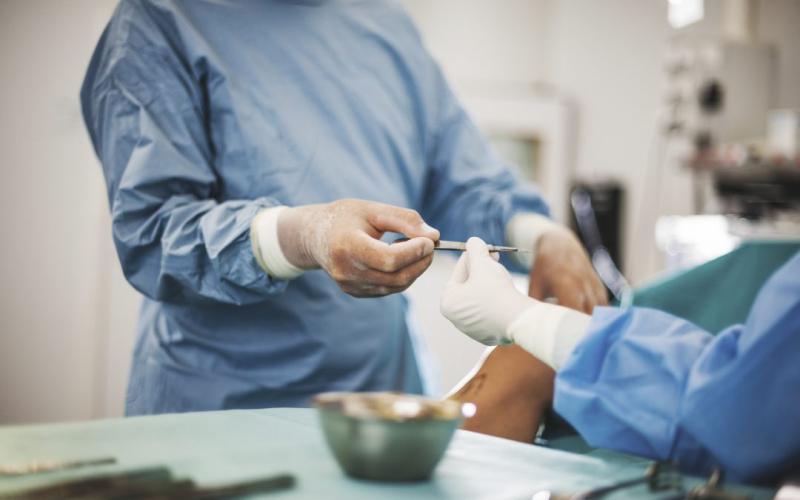 Colleges Suitable for Plastic Surgeons: Educational Institutions