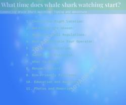 Commencing Whale Shark Watching: Timing and Adventure