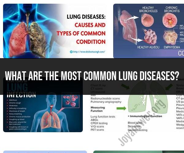 Common Lung Diseases: A Guide to Respiratory Health