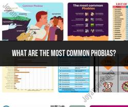 Common Phobias: Understanding Fearful Conditions