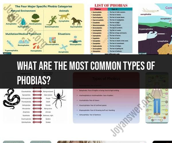 Common Types of Phobias: Exploring Fearful Patterns