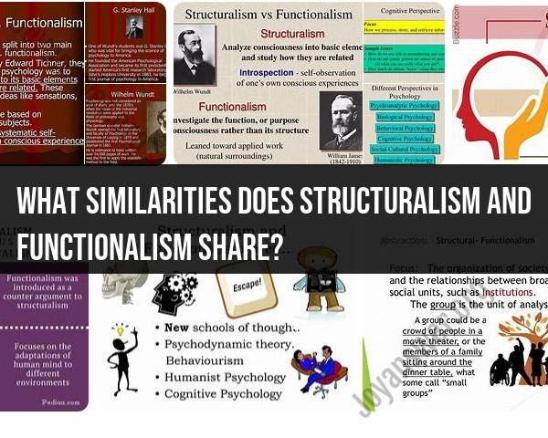 Commonalities Between Structuralism and Functionalism in Psychology