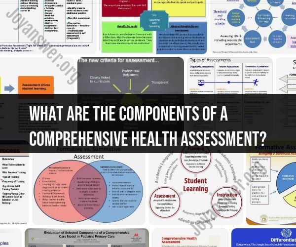 Components of a Comprehensive Health Assessment: In-Depth Examination