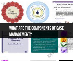 Components of Case Management: A Holistic Approach
