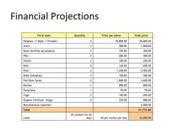 Components of Effective Financial Projections