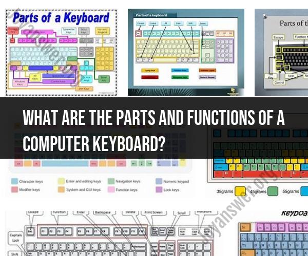 Computer Keyboard Parts and Functions: Keyboard Anatomy