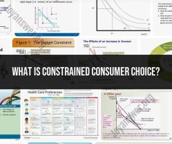 Constrained Consumer Choice: Understanding Limitations