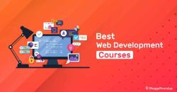 Content of a Web Development Course: Learning Components