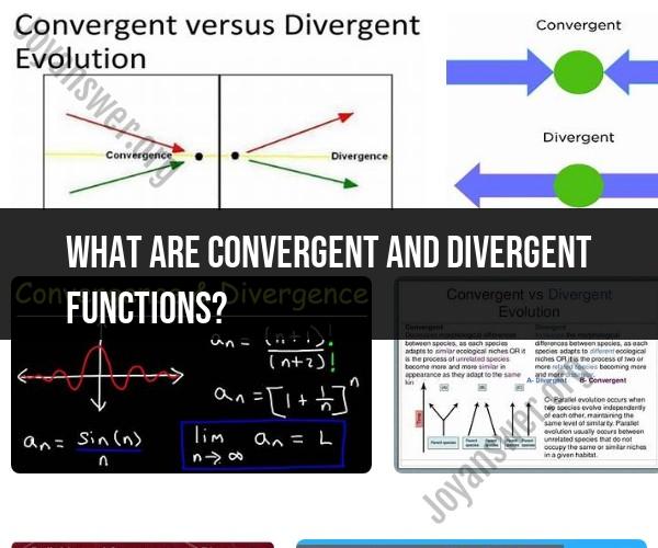 Convergent and Divergent Functions: Understanding Mathematical Concepts