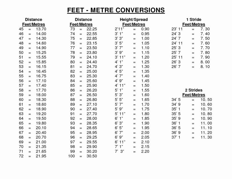 Converting Height to Inches: Height Measurement Conversion
