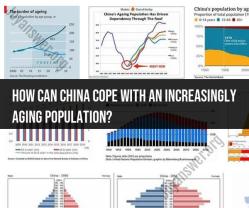 Coping with China's Aging Population: Strategies and Challenges