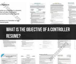 Crafting a Controller Resume: Objectives and Key Points