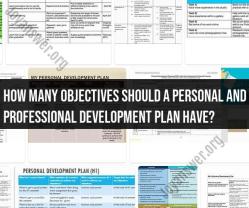 Crafting an Effective Personal and Professional Development Plan