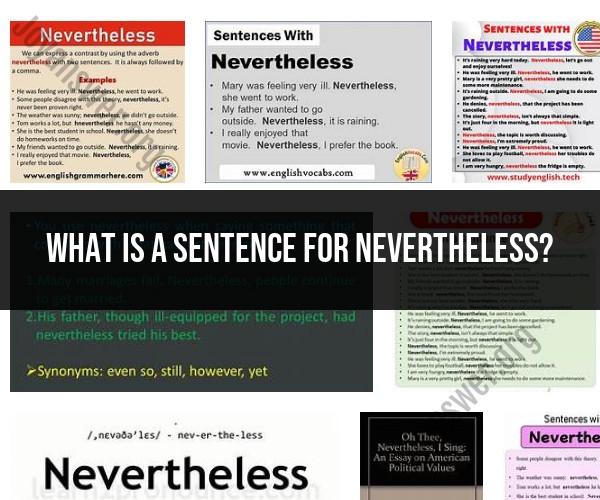 Crafting Sentences with "Nevertheless"