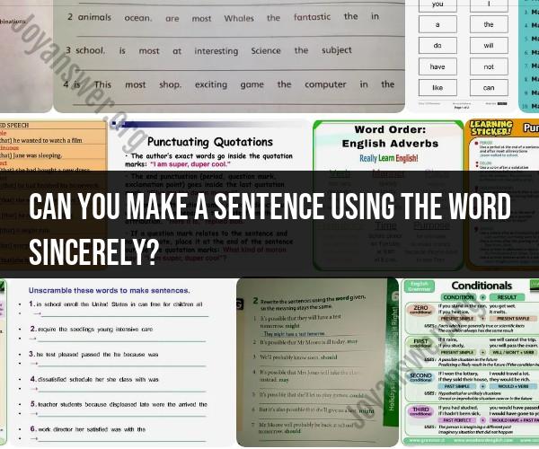 Crafting Sentences with "Sincerely": Examples