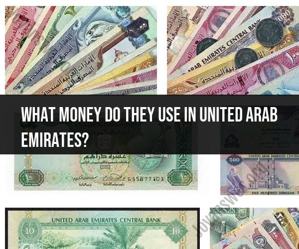 Currency in the United Arab Emirates: What Money is Used?