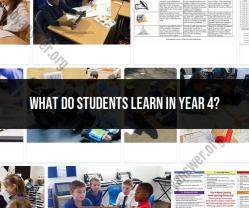 Curriculum Overview: Learning in Year 4