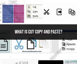 Cut, Copy, and Paste: Simplifying Data Manipulation